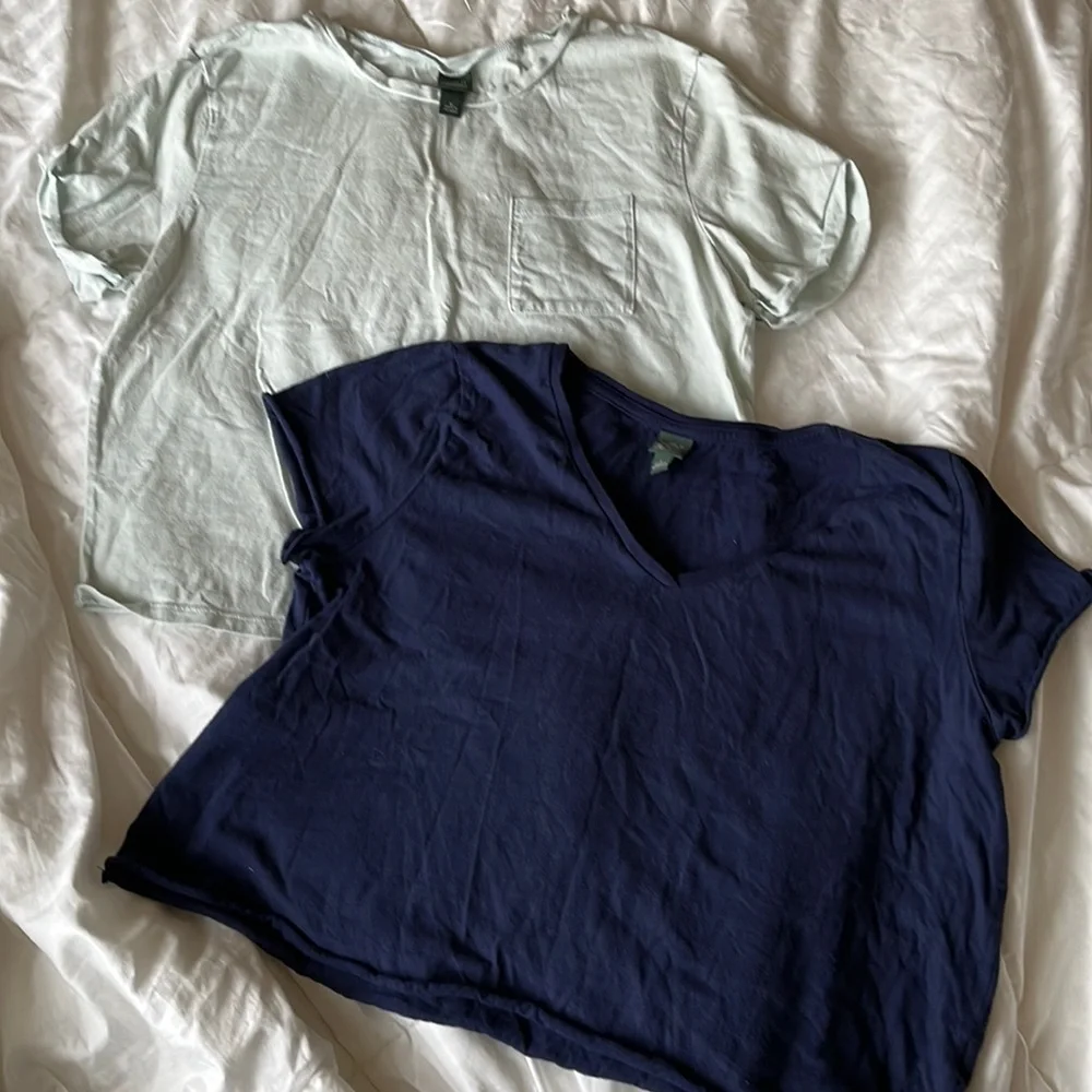 Target Wild Fable Crop Tops, worn a few times
